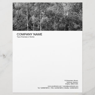 Papel Timbrado Cabeçalho de Imagem Grande - Silver Birch