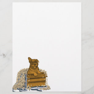 Papel Timbrado Cachorro numa caixa