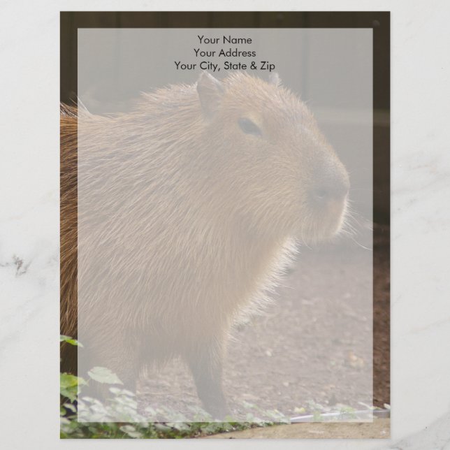 Papel Timbrado Capybara (Frente)