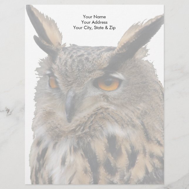 Papel Timbrado Coruja (Frente)