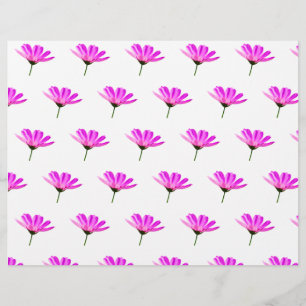 Papel Timbrado Daisy Rosa