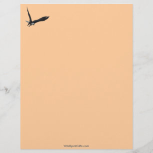 Papel Timbrado Design AMERICANO do cabeçalho da ÁGUIA AMERICANA