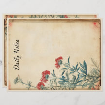 Eficácia da ilustração da flor de Yseta