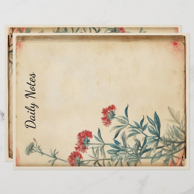 Papel Timbrado Eficácia da ilustração da flor de Yseta (Frente/Verso)