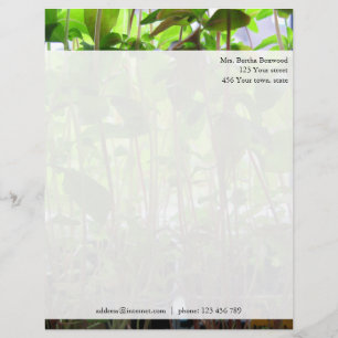 Papel Timbrado Endereço Personalizado de Fotografias de Mudas Ve