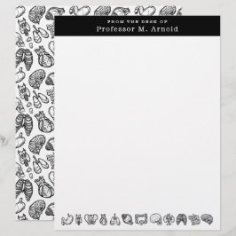 Papel Timbrado Esboço da Ciência da Anatomia Humana Moderna Perso