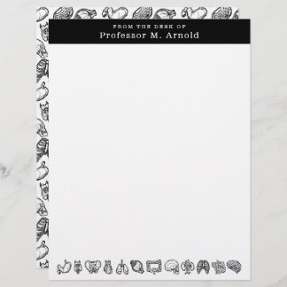 Papel Timbrado Esboço da Ciência da Anatomia Humana Moderna Perso