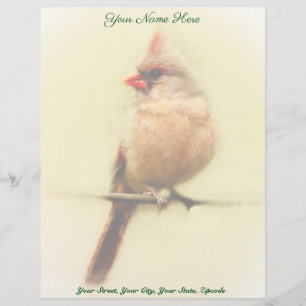 Papel Timbrado Female Cardinal Songbird