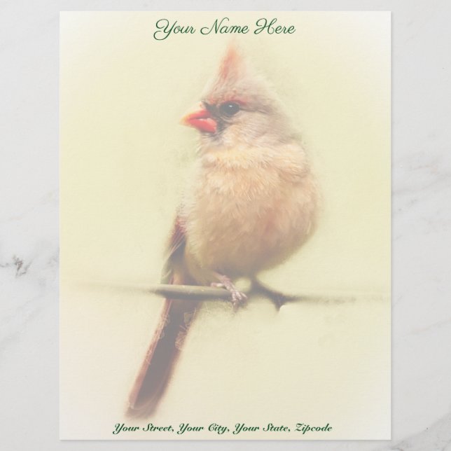 Papel Timbrado Female Cardinal Songbird (Frente)
