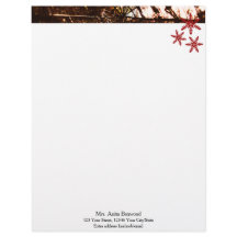 Flocos de neve orgânicos Natal sazonal