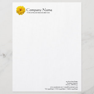 Papel Timbrado Flor - Chrysanthemum