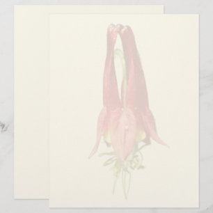 Papel Timbrado Flor de Columbine Vermelha