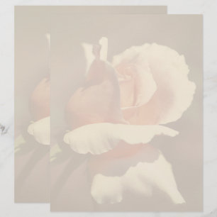 Papel Timbrado Flor de Rosa Bebê Pêssego Natureza