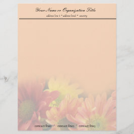 Papel Timbrado flores de margarida vermelhas, amarelas e laranjas