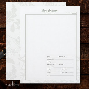 Papel Timbrado Folha de Espécime de Herbário Vintage Branco