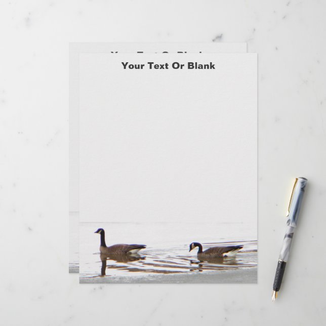 Papel Timbrado Honkers - Canadá Geese (Frente/Verso In Situ)