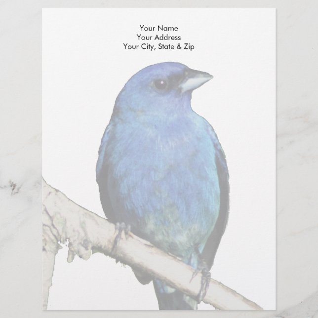 Papel Timbrado Indigo Bunting (Frente)