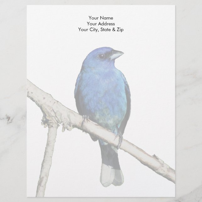 Papel Timbrado Indigo Bunting (Frente)