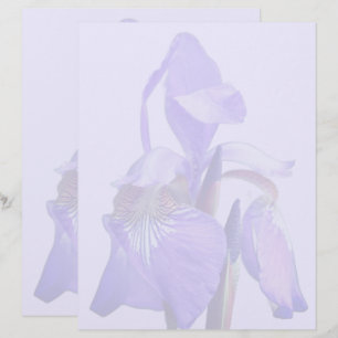 Papel Timbrado Íris Flor de Bandeira Azul Roxo