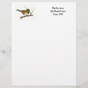 Papel Timbrado Junco no lápis da cor: Pássaro: Cabeçalho