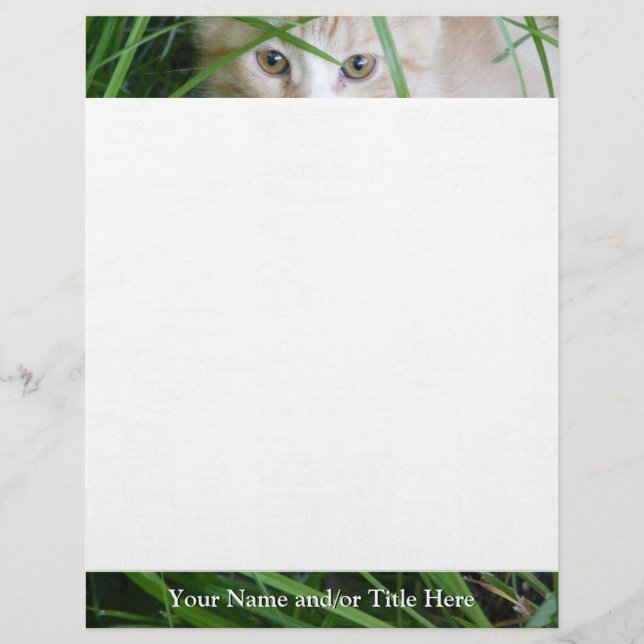 Papel Timbrado Kitten Gaze Letterhead (Frente)