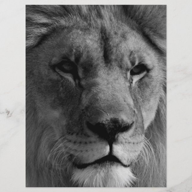 Papel Timbrado Leão preto e branco (Frente)