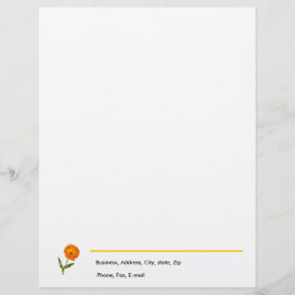 Papel Timbrado Letterhead - Calendário