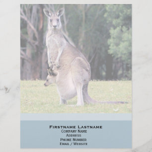 Papel Timbrado Mãe Kangaroo com Bebê Joey em sua bolsa