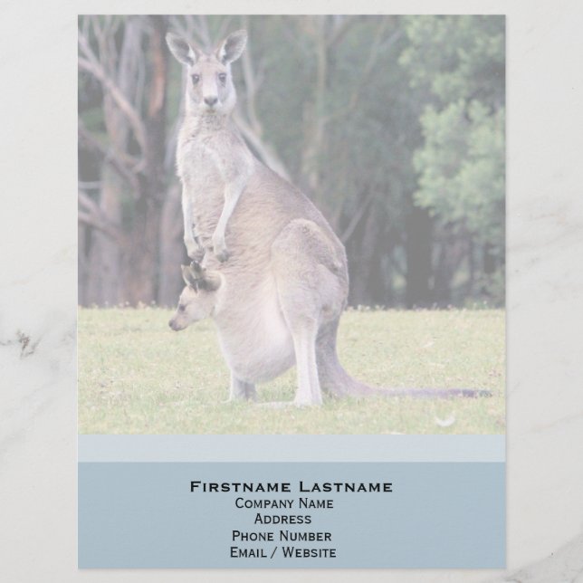 Papel Timbrado Mãe Kangaroo com Bebê Joey em sua bolsa (Frente)