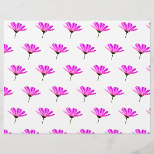 Papel Timbrado Margarida Rosa
