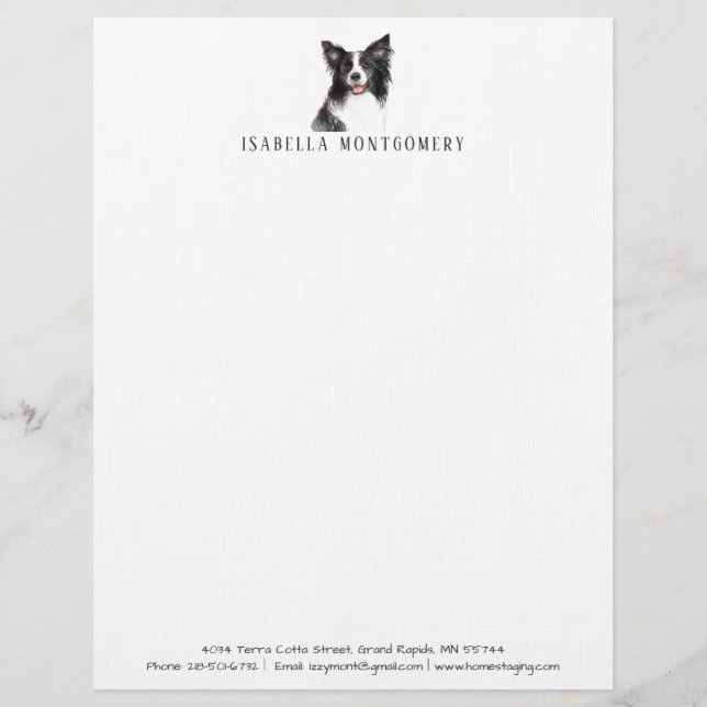 Papel Timbrado Margem de Aquarela Collie Letterhead (Frente)