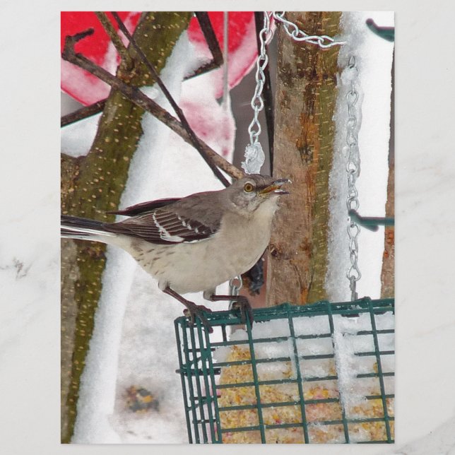 Papel Timbrado Mockingbird (Frente)
