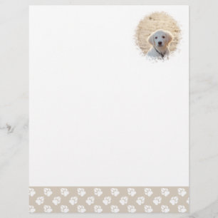 Papel Timbrado Modelo de Fotografia Pet Personalizada com Pinças