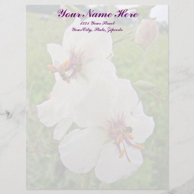 Papel Timbrado Moth Mullein Wildflower Letterhead (Frente)