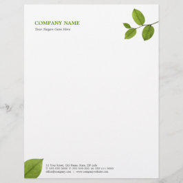 Papel Timbrado O verde deixa o cabeçalho