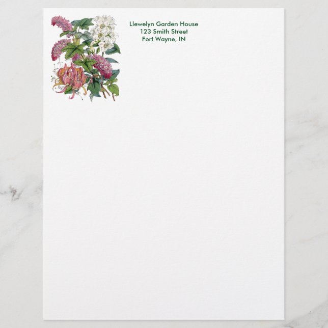 Papel Timbrado Página botânica do vintage (Frente)