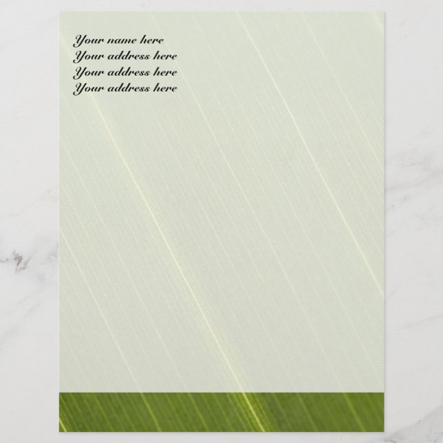 Papel Timbrado Palm Tree Leaf Letterhead Design (Frente)