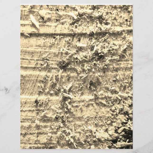 Papel Timbrado Papel de Corte em Massa (Frente)