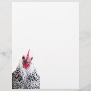 Papel Timbrado Papel Letterhead Fotográfico Bantam Cochin Hen