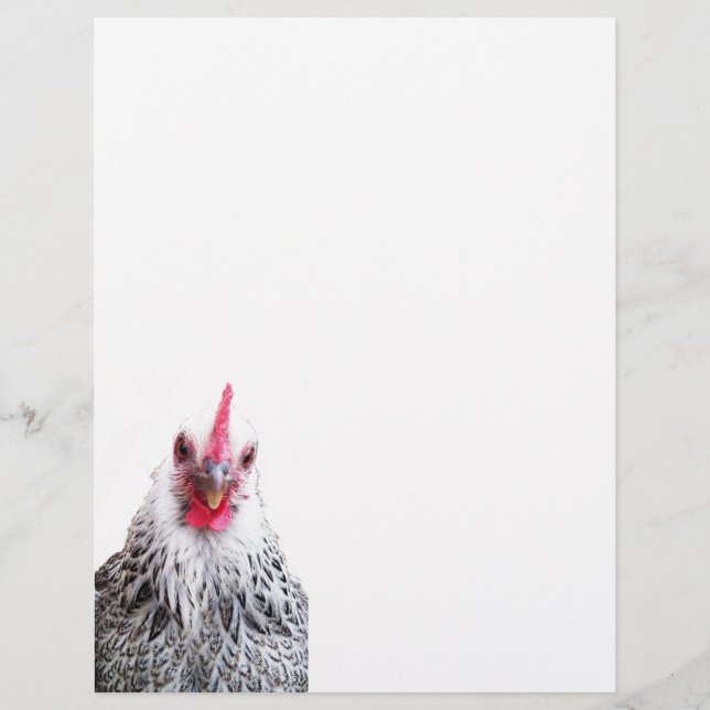 Papel Timbrado Papel Letterhead Fotográfico Bantam Cochin Hen (Frente)