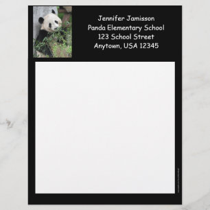 Papel Timbrado Papelaria de Apreciação de Professores, Panda, T