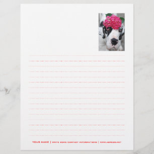 Papel Timbrado Personalizado Pontilhado