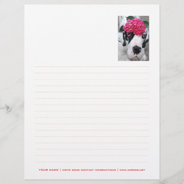 Papel Timbrado Personalizado Pontilhado (Frente)