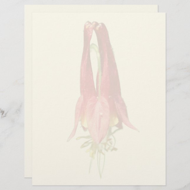 Papel Timbrado Red Columbine Flower  (Frente/Verso)