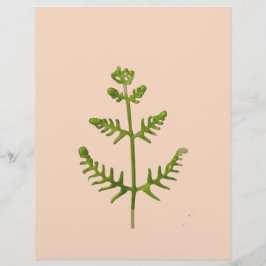 Papel Timbrado verde primavera