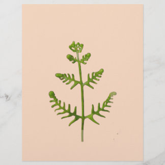 Papel Timbrado verde primavera