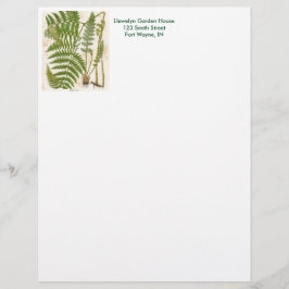 Papel Timbrado Vintage Botanical Page - Fern