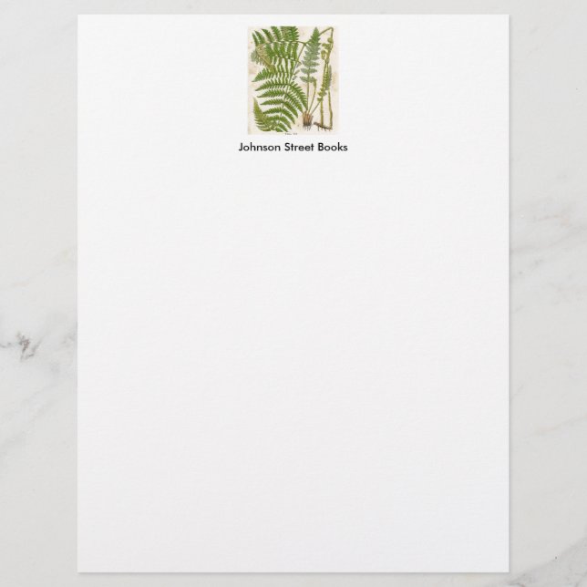 Papel Timbrado Vintage Botanical Page - Fern (Frente)