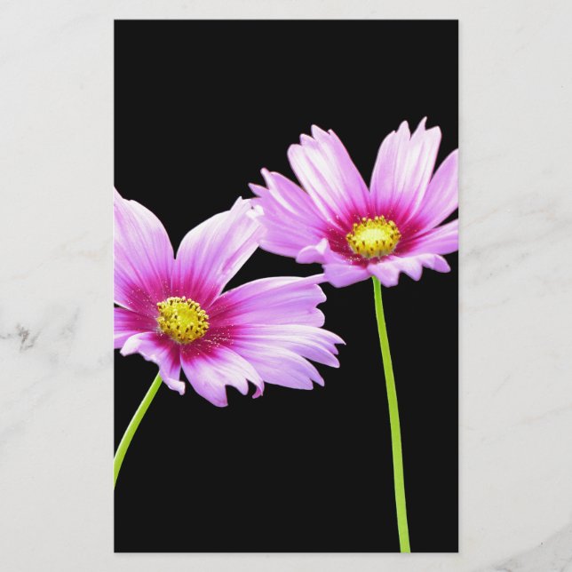 Papelaria 2 Cosmos (Frente)