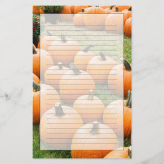 Papelaria Abóboras para a venda no mercado de um fazendeiro